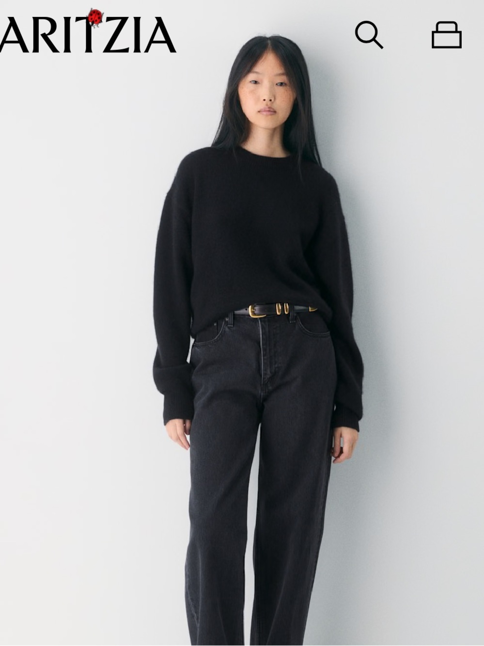 Aritzia Essential Cashmere Relic Sweater
